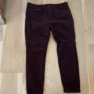 Edyson Burgundy Corduroy Pants
